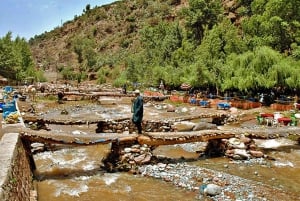 Marrakesh: Ourika-vattenfallen, Atlasbergen, guide + lunch