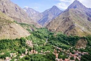 Marrakesh: Ourika-vattenfallen, Atlasbergen, guide + lunch