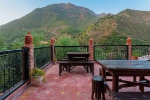 Marrakesh: Ourika-vattenfallen, Atlasbergen, guide + lunch