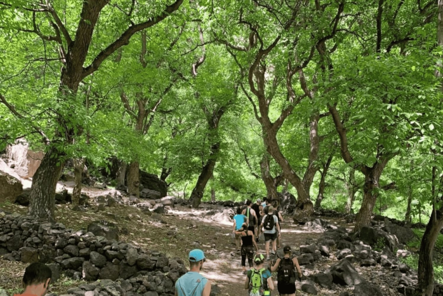 Marrakech : Cascade d'Ouzoud, randonnée guidée, tour en bateau et déjeuner