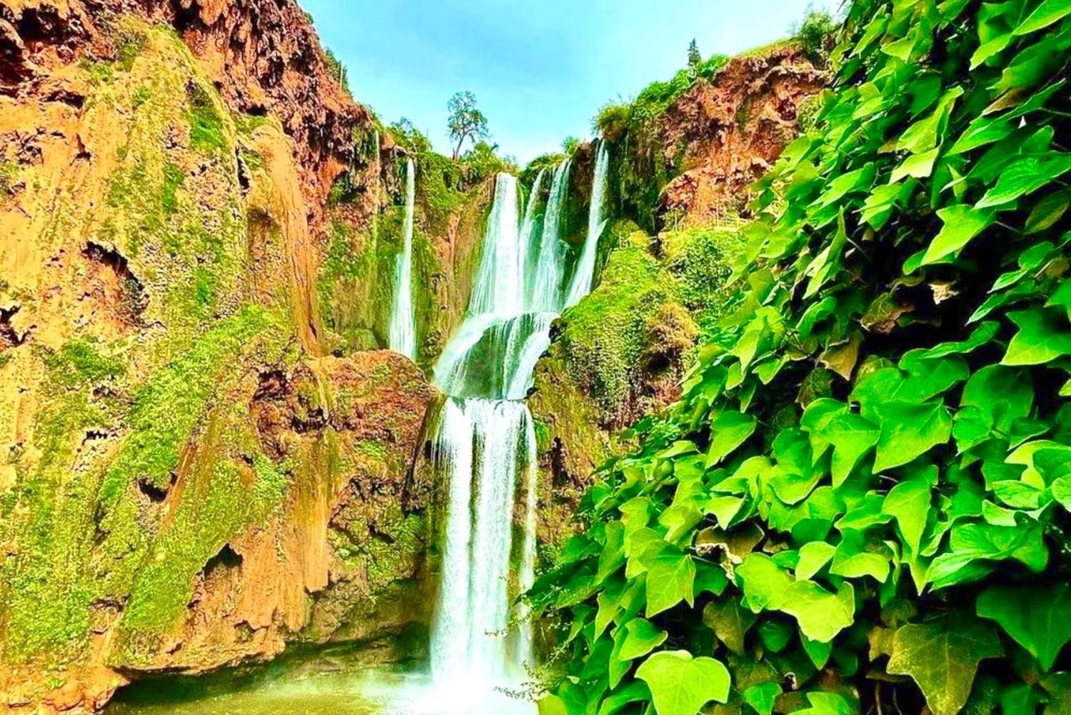 Marrakech : Cascade d'Ouzoud, randonnée guidée, tour en bateau et déjeuner