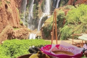 Marrakech: Ouzoud vesiputous, opastettu vaellus, veneajelu ja lounas