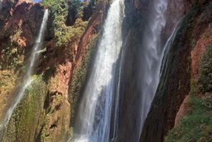 Marrakech: Ouzoud Waterfall, Guided Hike, Boat Ride & Lunch