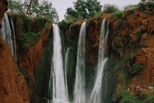 Marrakech: Ouzoud Waterfall, Guided Hike, Boat Ride & Lunch
