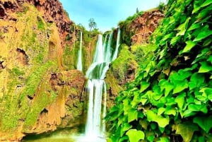 Marrakech : Cascade d'Ouzoud, randonnée guidée, tour en bateau et déjeuner
