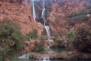 Marrakech: Agafay Desert Sunnet diner met show