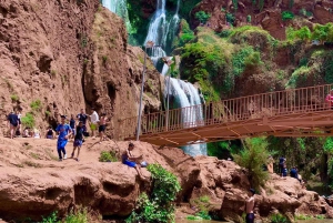 Marrakech: Agafay Desert Sunnet diner met show