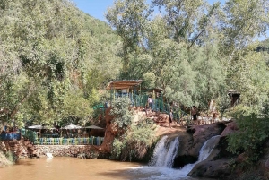 Marrakech: Agafay Desert Sunnet diner met show