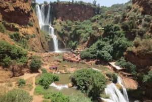 Marrakech: Geführter Tagesausflug zu den Ouzoud-Wasserfällen mit Bootsfahrt