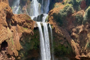 Marrakech: Kameli- ja mönkijäkierros auringonlaskun, illallisen ja esityksen kera