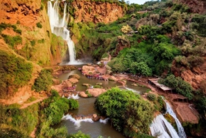 Marrakech: Kameli- ja mönkijäkierros auringonlaskun, illallisen ja esityksen kera