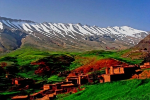 Marrakech: Kameli- ja mönkijäkierros auringonlaskun, illallisen ja esityksen kera