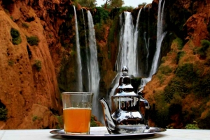 Marrakech: Kameli- ja mönkijäkierros auringonlaskun, illallisen ja esityksen kera