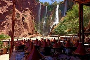 Marrakech: Kameli- ja mönkijäkierros auringonlaskun, illallisen ja esityksen kera