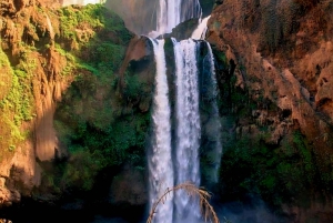 Marrakech: Kameli- ja mönkijäkierros auringonlaskun, illallisen ja esityksen kera