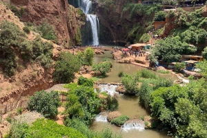 Marrakesh: Ouzoud-watervallen met lokale gids + optionele boottocht
