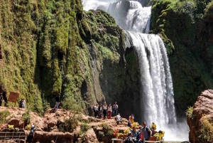 Marrakesh: Ouzoud-watervallen met lokale gids + optionele boottocht