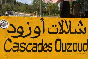 Marrakesh: Ouzoud-watervallen met lokale gids + optionele boottocht