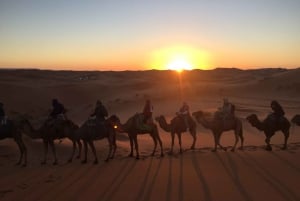 Från 2-dagars Sahara-tur till Zagora & Ait Ben Haddou