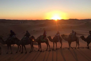Marrakech till Zagora: 2-dagars lyxig Sahara-tur med kamelridning