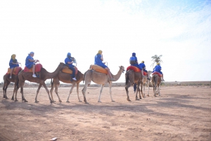 Marrakech: pakkaus mönkijä ja kameliratsastus palmupuistossa