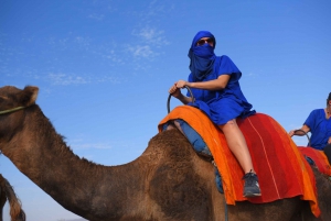 Marrakech: packa fyrhjuling och kameltur i palmlunden