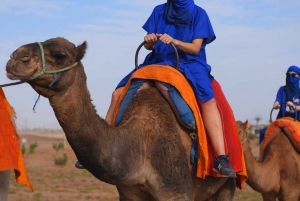 Marrakech: pack quad y paseo en camello por el palmeral
