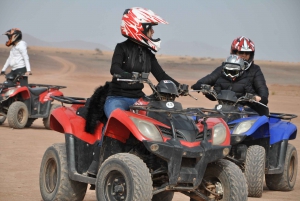 Marrakech: packa fyrhjuling och kameltur i palmlunden