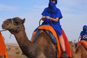 Marrakech : pack quad et balade à dos de chameau dans la palmeraie