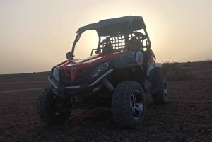 Marrakech: Palm Grove and Desert Buggy excursion