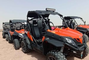 Marrakech: Palm Grove and Desert Buggy excursion