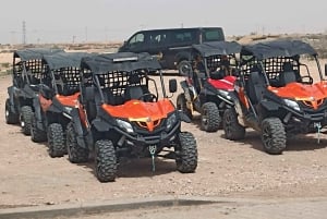 Marrakech: Palm Grove and Desert Buggy excursion