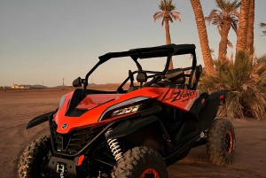 Marraquexe : Palm Grove e jbilat Desert Buggy 1000cc Tour