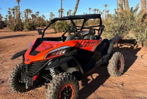 Marraquexe : Palm Grove e jbilat Desert Buggy 1000cc Tour