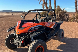Marraquexe : Palm Grove e jbilat Desert Buggy 1000cc Tour