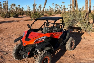 Marraquexe : Palm Grove e jbilat Desert Buggy 1000cc Tour