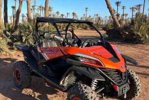 Marrakech : Palm Grove och jbilat Desert Buggy 1000cc Tour