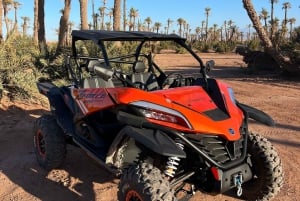 Marrakech : Palm Grove och jbilat Desert Buggy 1000cc Tour