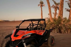 Marrakech : Palm Grove och jbilat Desert Buggy 1000cc Tour