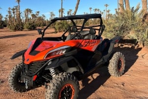Marrakech : Palm Grove och jbilat Desert Buggy 1000cc Tour