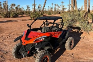 Marrakech : Palm Grove och jbilat Desert Buggy 1000cc Tour