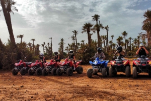 Marrakech: Mönkijäretki dyyneille ja palmulehtoon, teetauko