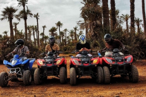 Marrakech: Mönkijäretki dyyneille ja palmulehtoon, teetauko