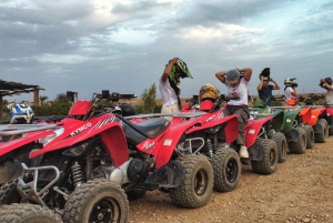 Marrakech: Mönkijäretki dyyneille ja palmulehtoon, teetauko