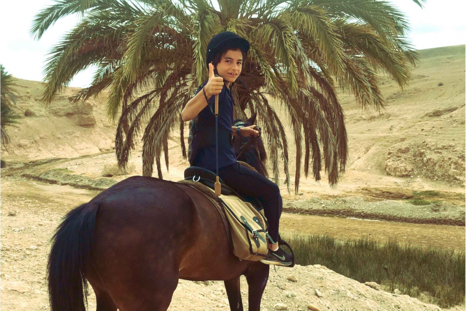 Marrakech: Palm Grove Horseback Riding Tour