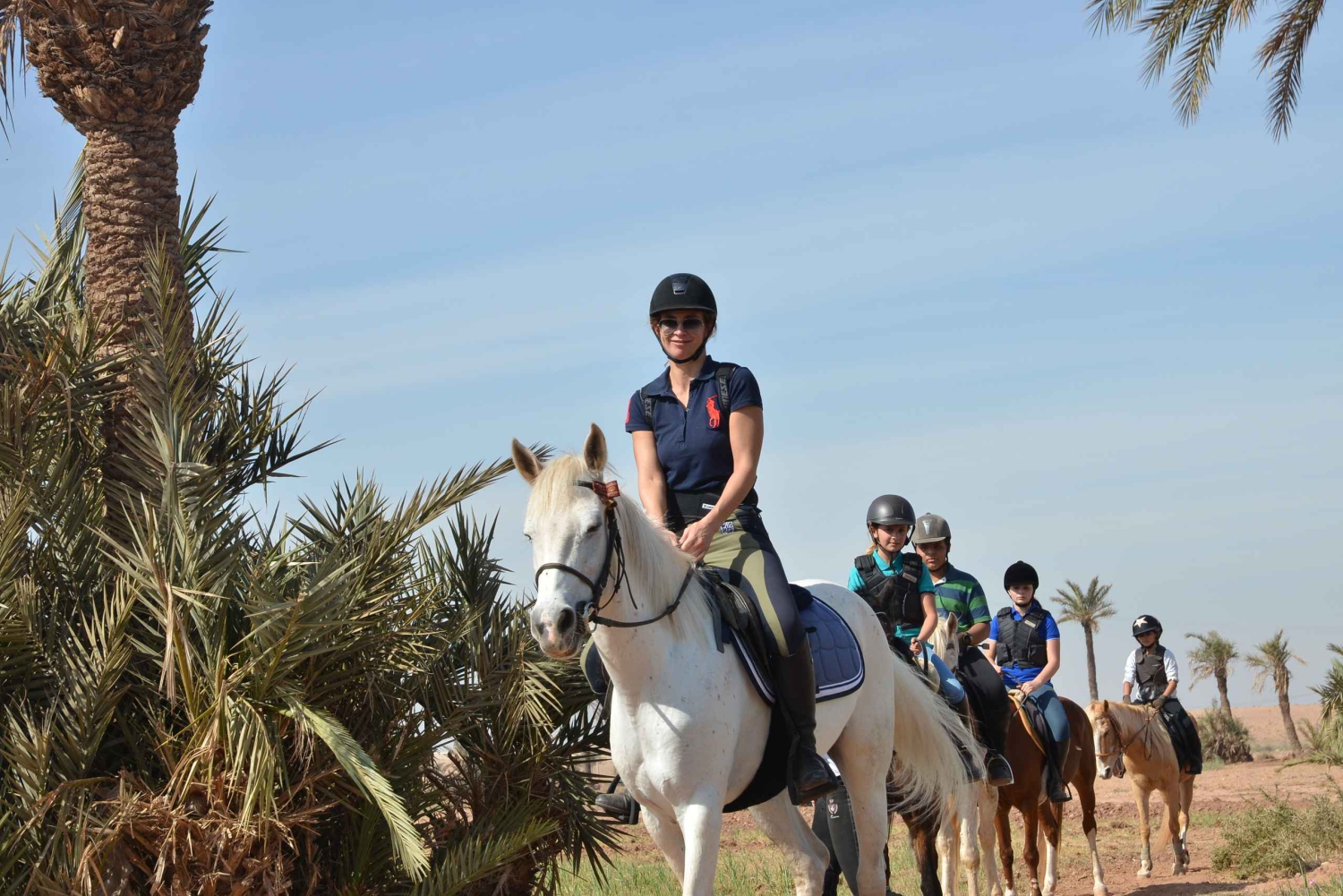 Marrakech: Palm Grove Horseback Riding Tour