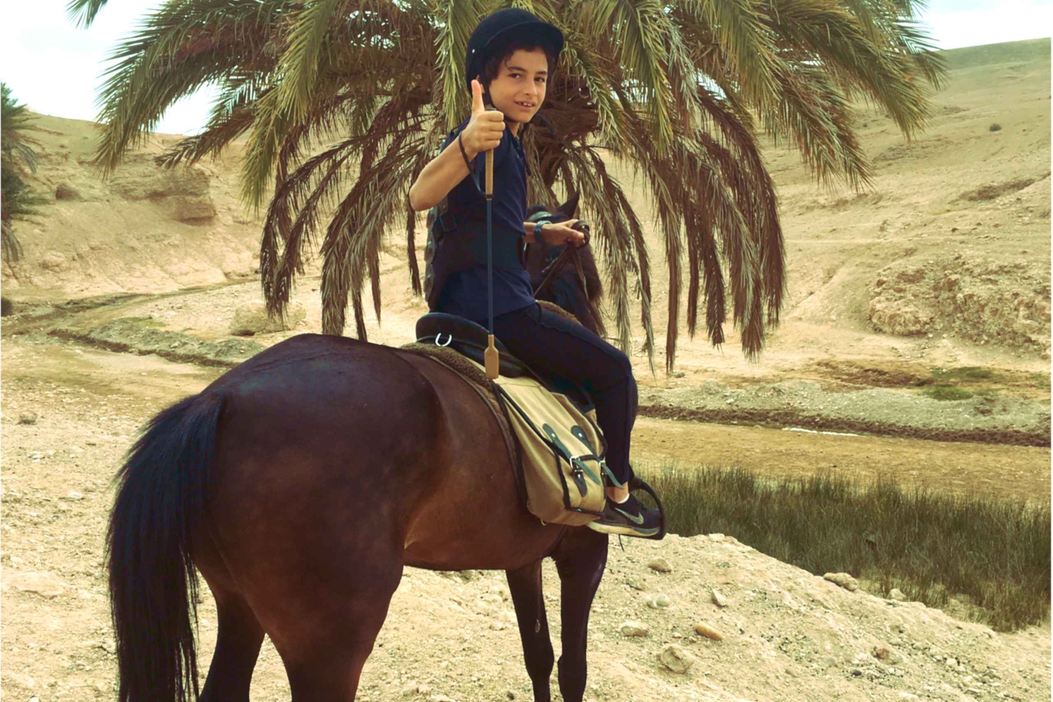 Marrakech: Palm Grove Horseback Riding Tour