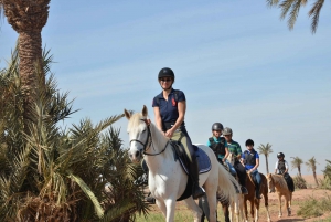 Marrakech: Palm Grove Horseback Riding Tour