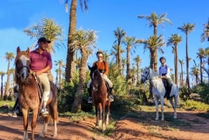 Marrakech: Ridetur i palmelunden