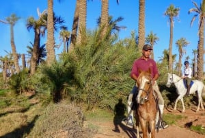 Marrakech: Ridetur i palmelunden